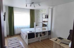 Garsonieră 30mp luminoasă, mobilat/utilat, zona Rulmentul