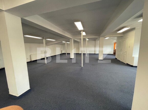 Spațiu birouri de închiriat Marasti - 128594SIB | BLITZ Cluj-Napoca | Poza10