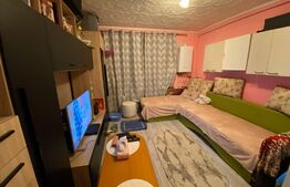 Garsoniera cocheta, 21 mp, zona Plevnei