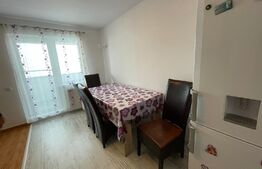 Apartament 2 camere, 55 mp, 2 parcări, 3 balcoane, zona Omnia