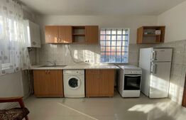 Apartament la casa cu 1 camera, 48 mp, zona Primaria Someseni 