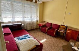 Apartament cu 2 camere, 46mp, balcon, etaj intermediar, orientare Sudica, zona Al. Vlahuta