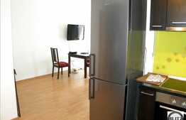 2 camere, 50 mp, mobilat modern, imobil nou, parcare, zona Flora Park!