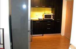 2 camere, 50 mp, mobilat modern, imobil nou, parcare, zona Flora Park!