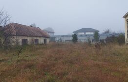 Teren intravilan, 7900 mp, pentru ansamblu case sau hala industriala, Jucu