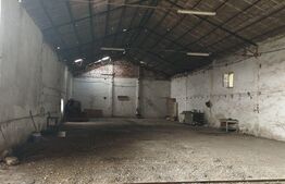 Teren intravilan, 7900 mp, pentru ansamblu case sau hala industriala, Jucu