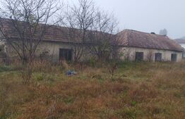 Teren intravilan, 7900 mp, pentru ansamblu case sau hala industriala, Jucu