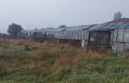 Teren intravilan, 7900 mp, pentru ansamblu case sau hala industriala, Jucu