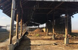 Ferma de vanzare in jud. Covasna (suprafata teren 4824, suprafata contruita 1930