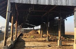 Ferma de vanzare in jud. Covasna (suprafata teren 4824, suprafata contruita 1930