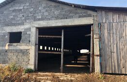 Ferma de vanzare in jud. Covasna (suprafata teren 4824, suprafata contruita 1930