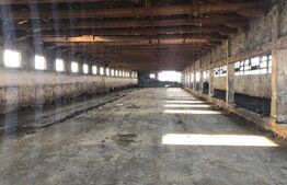 Ferma de vanzare in jud. Covasna (suprafata teren 4824, suprafata contruita 1930