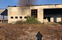 Ferma de vanzare in jud. Covasna (suprafata teren 4824, suprafata contruita 1930