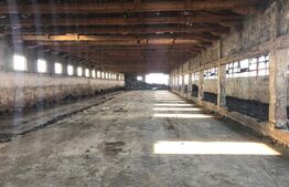 Ferma de vanzare in jud. Covasna (suprafata teren 4824, suprafata contruita 1930