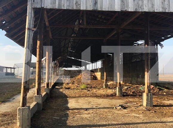 Teren de vânzare Exterior Nord - 128834TV | BLITZ Brașov | Poza10