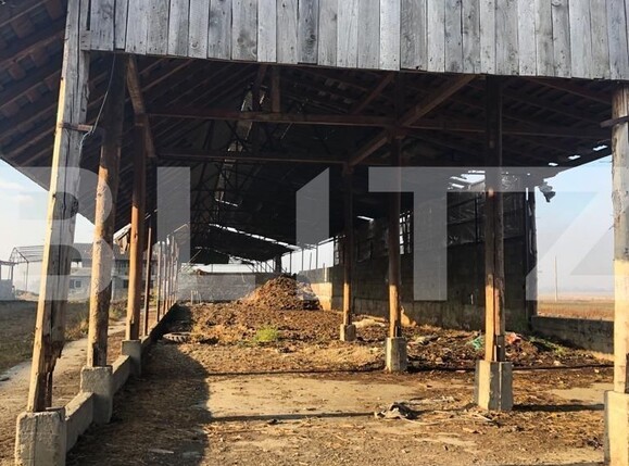 Teren de vânzare Exterior Nord - 128834TV | BLITZ Brașov | Poza11