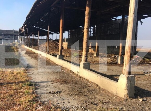 Teren de vânzare Exterior Nord - 128834TV | BLITZ Brașov | Poza8