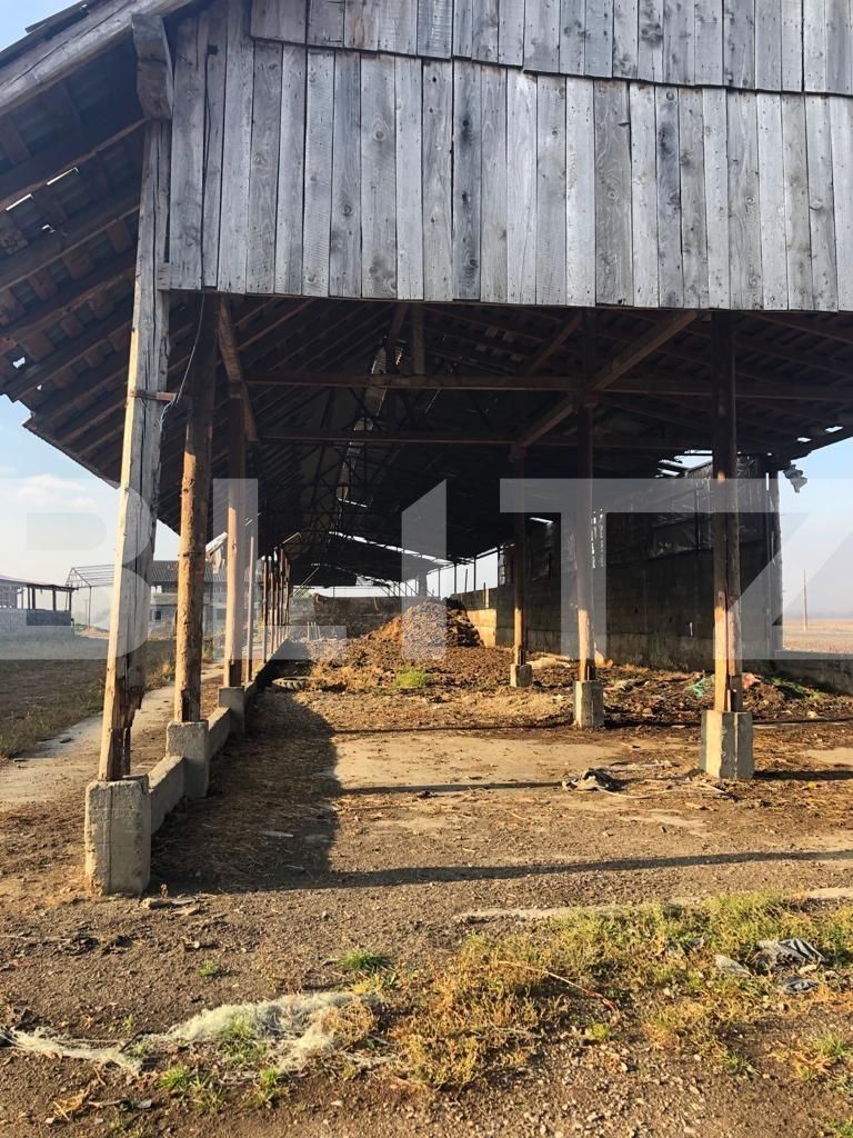 Teren de vânzare Exterior Nord - 128834TV | BLITZ Brașov | Poza10