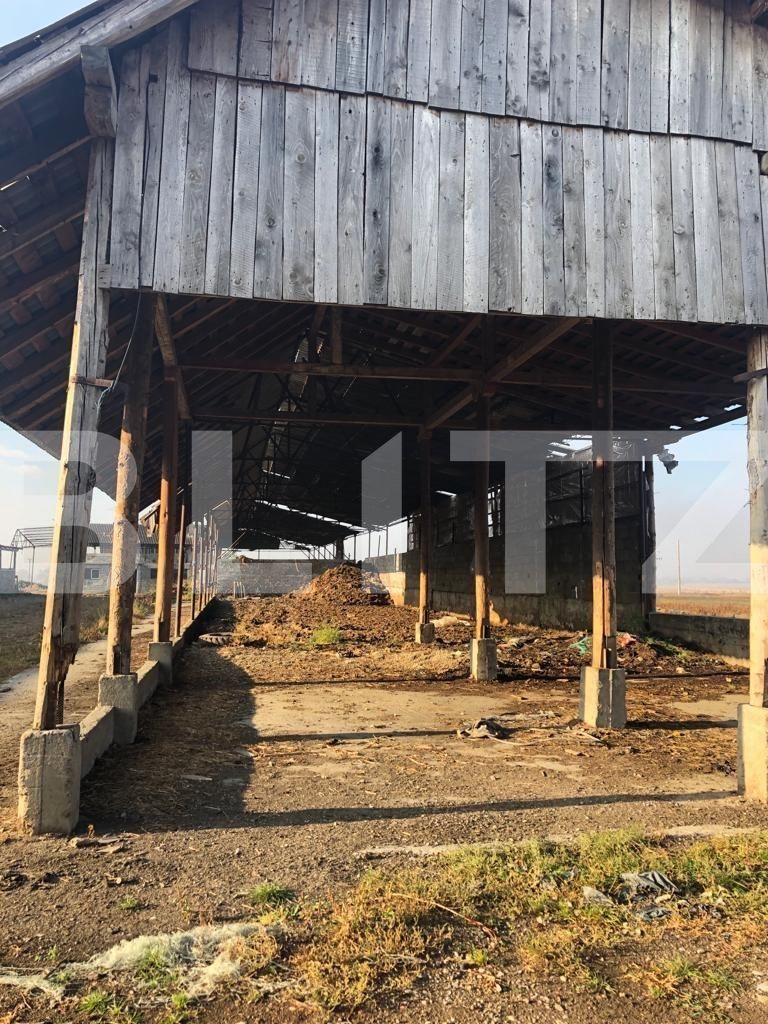 Teren de vânzare Exterior Nord - 128834TV | BLITZ Brașov | Poza11