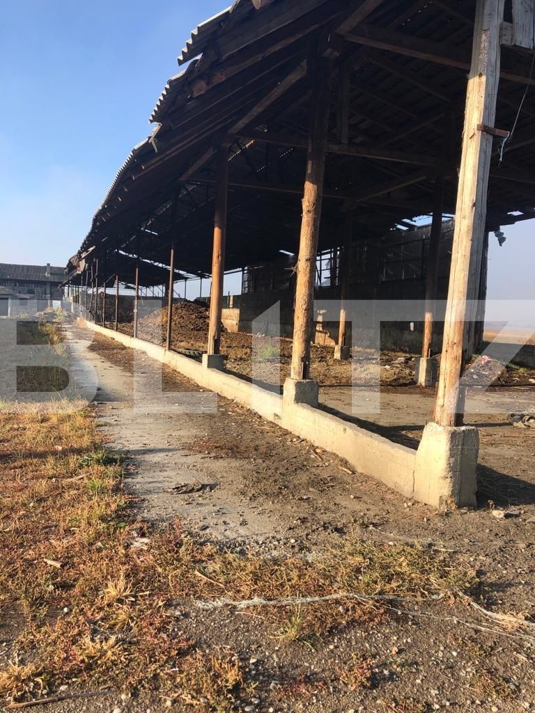 Teren de vânzare Exterior Nord - 128834TV | BLITZ Brașov | Poza8