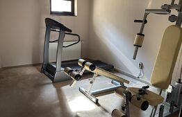 Casa 5 camere, 340 mp, garaj, curte, zona Buna Ziua 