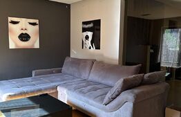 Casa 5 camere, 340 mp, garaj, curte, zona Buna Ziua 