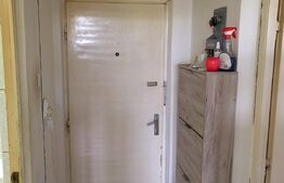 Apartament 1 camera, 40mp, etaj intermediar, Gruia  