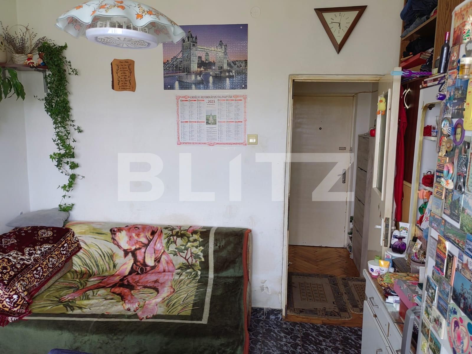 Garsonieră de vânzare Gruia - 128918AV | BLITZ Cluj-Napoca | Poza9