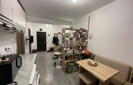 Apartament 2 camere, etaj intermediar, 40 mp, zona Terra 