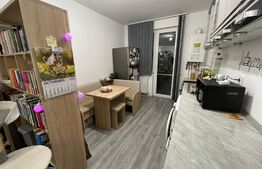 Apartament 2 camere, etaj intermediar, 40 mp, zona Terra 