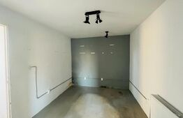 Spatiu comercial individual, ideal showroom, 210 mp, zona Plevnei