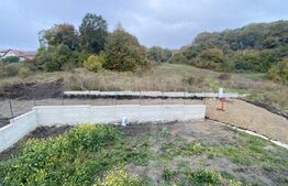 Casa 4 camere, 119 mp utili, 520 mp teren, extras C.F. intrare POPESTI