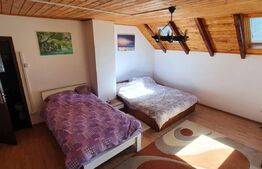 COMISION 0% - Cabana Maguri 180mp, 4 cam, 1500 teren, langa padure si rau. Intimitate garantata!