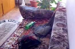 Vanzare apartament 3 camere, 80 mp, decomandat, zona Gradini Manastur!