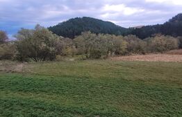 Case individuale, 5 camere, 120 mp, 500 teren, Luna de Sus