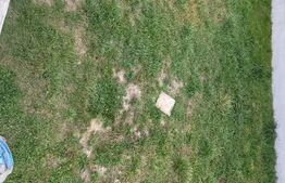 Case individuale, 5 camere, 120 mp, 500 teren, Luna de Sus