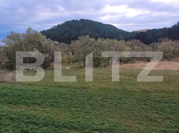 Casa de vânzare 5 camere Luna - 129160CV | BLITZ Cluj-Napoca | Poza13