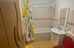 Apartament cu o camera, 33mp, cu gradina, zona Eroilor