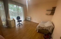 Apartament cu o camera, 33mp, cu gradina, zona Eroilor