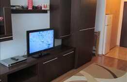 Apartament 1 camera, 32 mp utili, mobilat modern, zona strazii Bucegi!