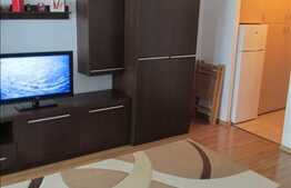 Apartament 1 camera, 32 mp utili, mobilat modern, zona strazii Bucegi!