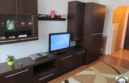 Apartament 1 camera, 32 mp utili, mobilat modern, zona strazii Bucegi!