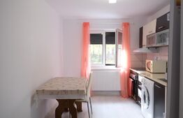 Oportunitate de investiție intr-un studio, zona Astra