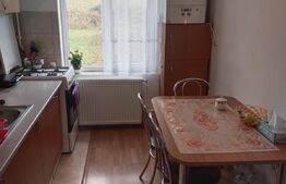 Stil si comoditate Ap1 cam, Baciu