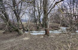 Oportunitate! Teren intravilan 2500mp (puz aprobat)