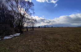 Oportunitate! Teren intravilan 2500mp (puz aprobat)