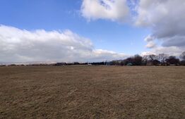 Oportunitate! Teren intravilan 2500mp (puz aprobat)