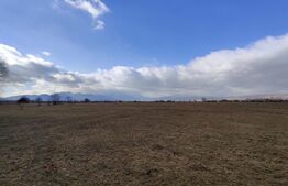 Oportunitate! Teren intravilan 2500mp (puz aprobat)