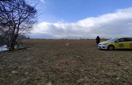 Oportunitate! Teren intravilan 2500mp (puz aprobat)