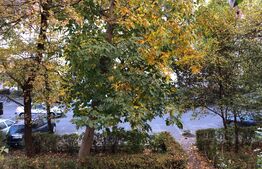 Apartament 2 camere, 52mp, semidecomandat, zona Garii